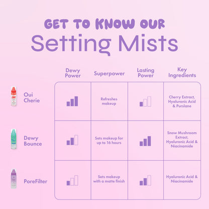 PoreFilter Mattifying Setting Mist