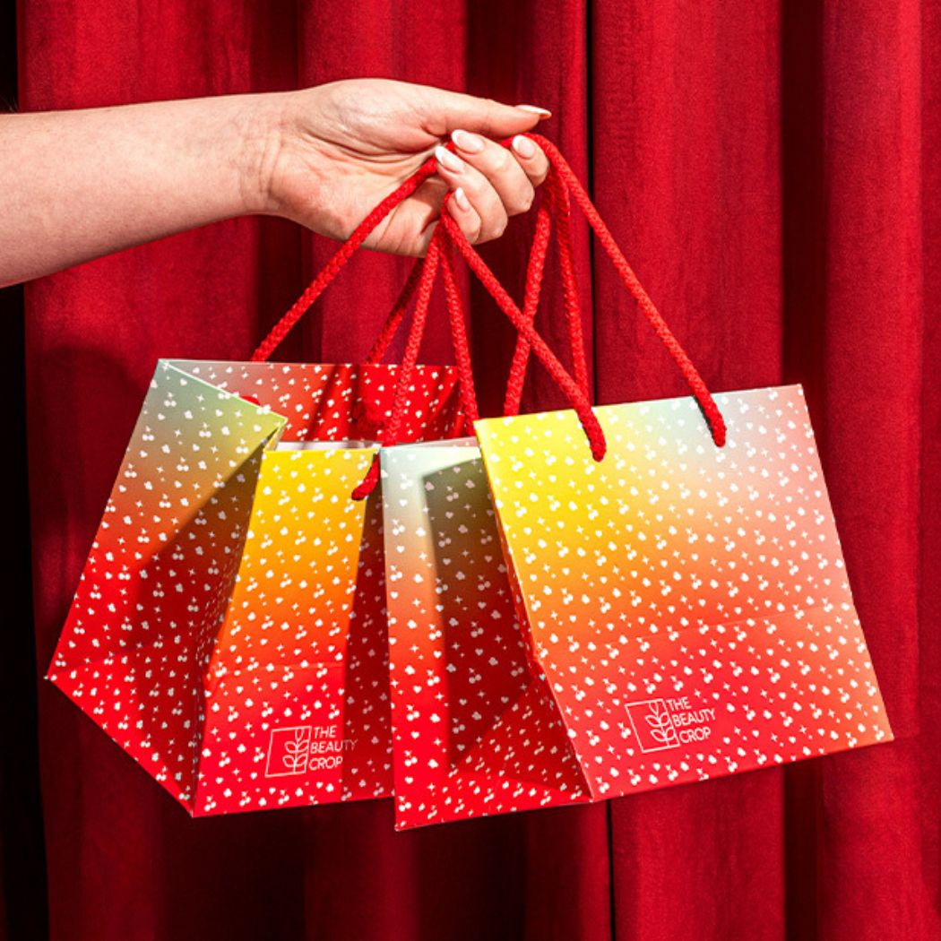 Paper Gift Bag